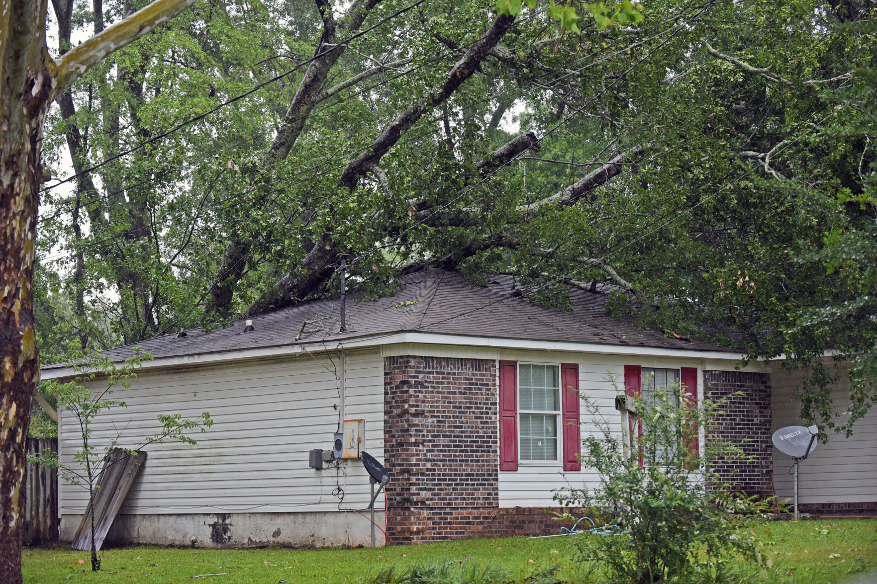 Storm batters Wiregrass